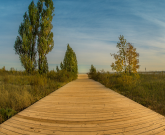 Waterfront Boardwalk Replacement to Begin September 3, 2024